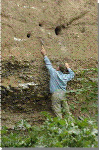 Fitzgerald Pointing at Artifacts